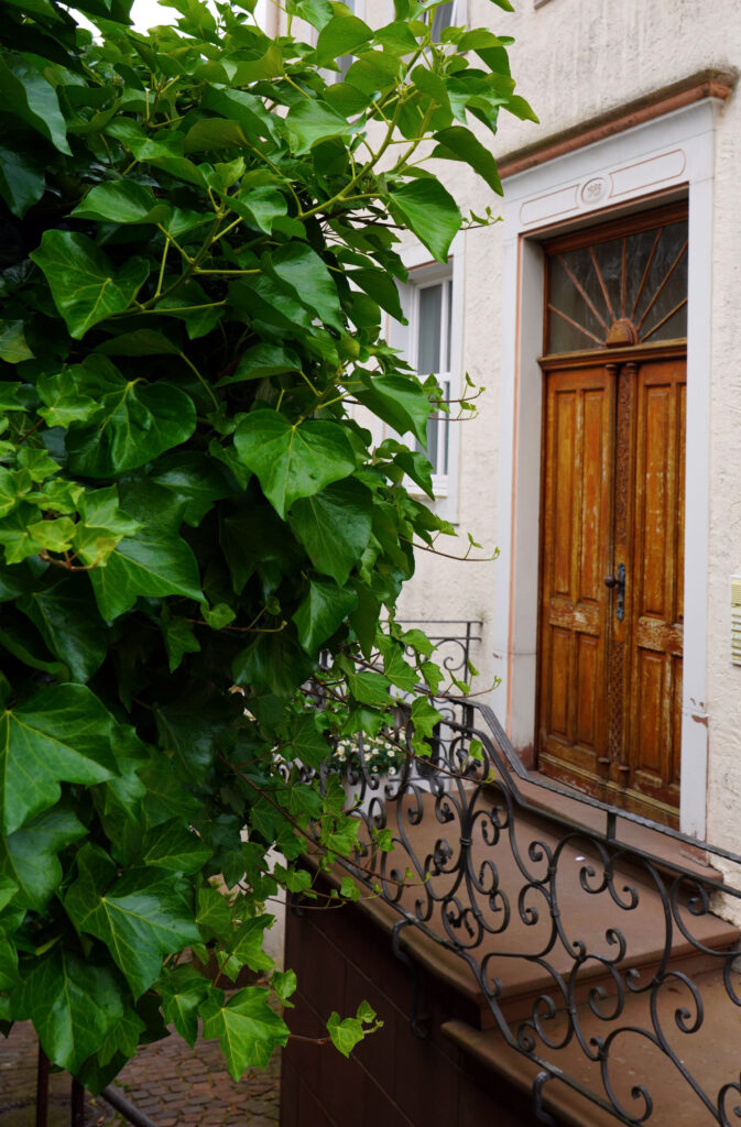 Eingangsbereich Ihrer Ferienwohnung in Neuerburg