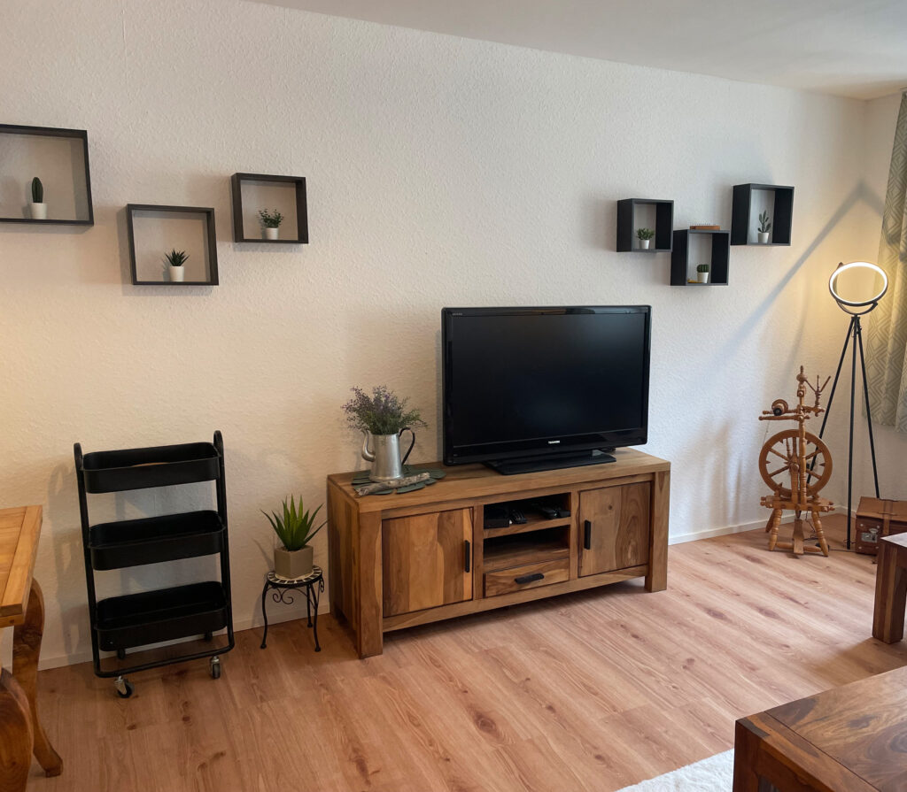 Fernseher mit HDMI-Anschluss